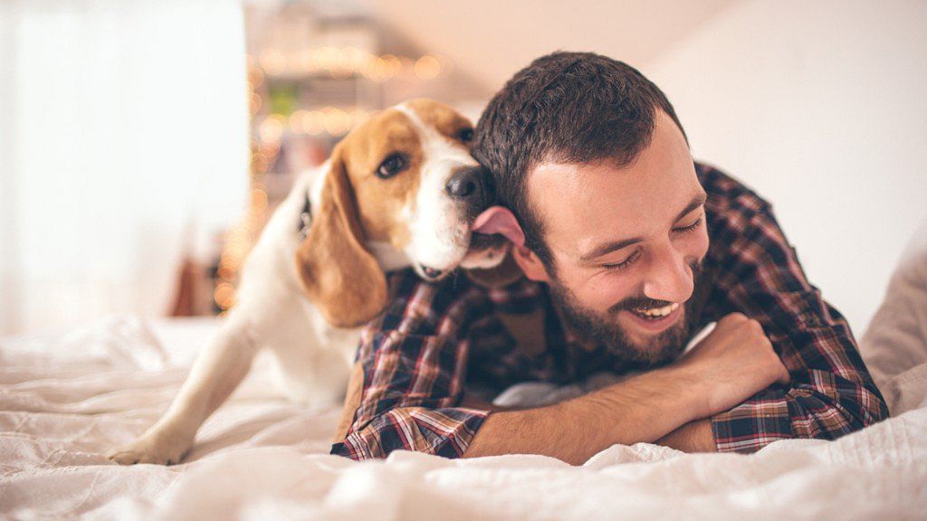 Studies have shown that spending time with pets releases chemicals which make us feel comfortable and happy. 