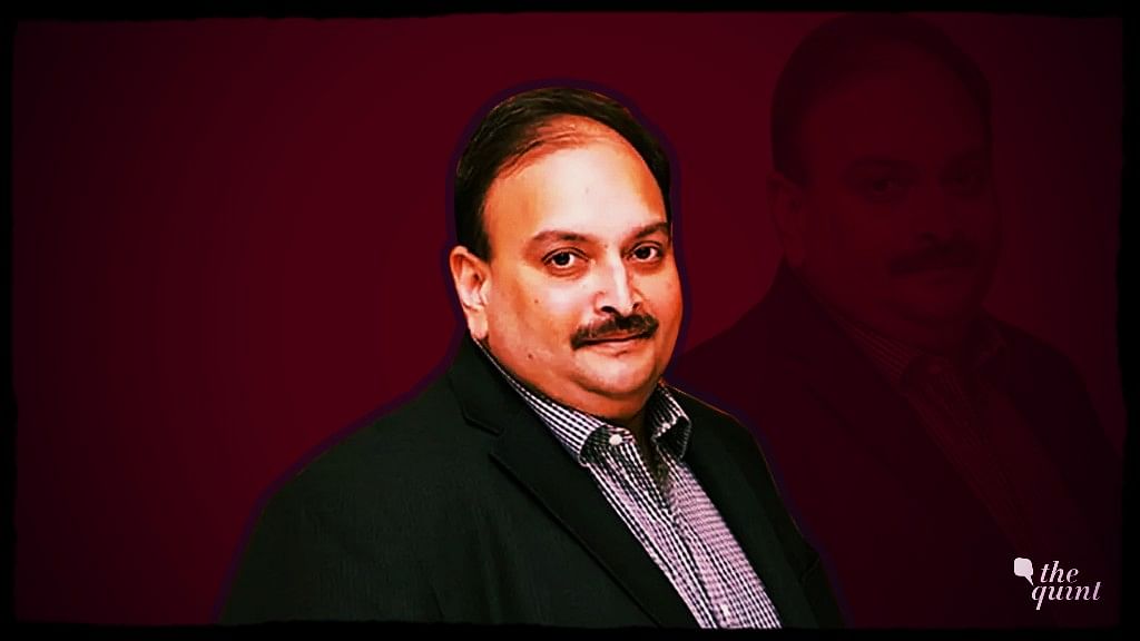 Managing Director of Gitanjali Gems Mehul Choksi.&nbsp;