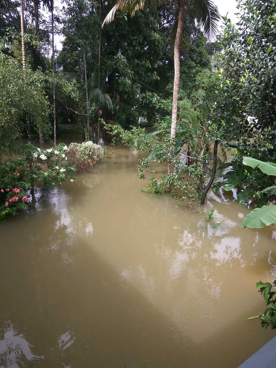 The power supply didn’t resume and the sight of the increasing water levels frightened me to a great extent.