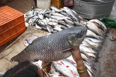 Prices of seafood have increased by at least 50 per cent in the city due to the annual fishing ban, according to fish traders. 