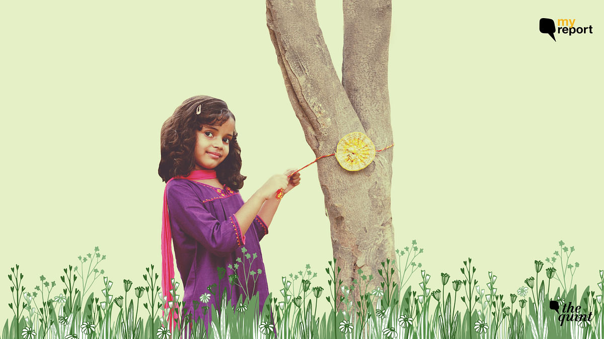This Rakhi, Let’s Celebrate Vrikshabandhan to Protect Our Trees