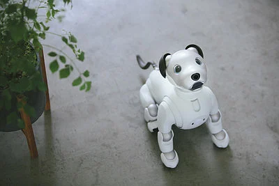 Want a dog that doesn’t need caring? Sony has you covered with its Aibo dog robot.