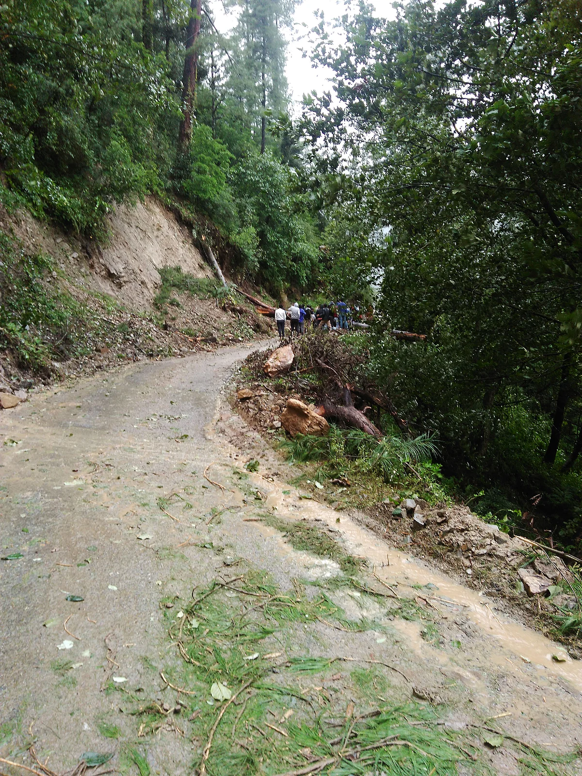 Passengers themselves got down to remove the tree trunk to make way for their bus.