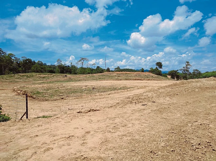 After setting aside 148.59 hectares of forest land in Vidarbha’s Gondia district for the construction of a coal-based thermal power plant by the Adani Group in 2014, the Maharashtra forest department sanctioned another 141.99 hectares of land in the same area for a research centre. Representational Image.