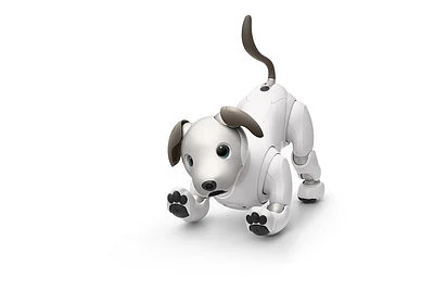 Aibo uses AI to develop its own personality. 