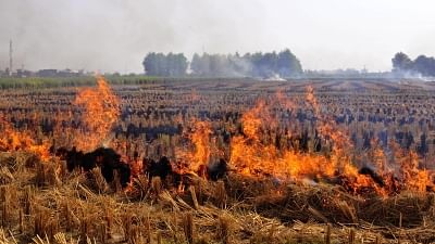 <div class="paragraphs"><p>The Punjab state government has embarked upon a programme for the management of paddy straw, without burning, by the farmers.</p></div>