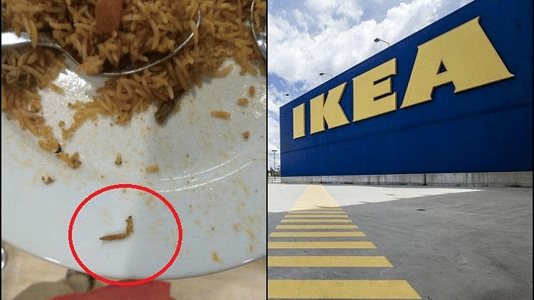 Caterpillar Found in Veg Biryani in Hyderabad’s Ikea, Fine Issued
