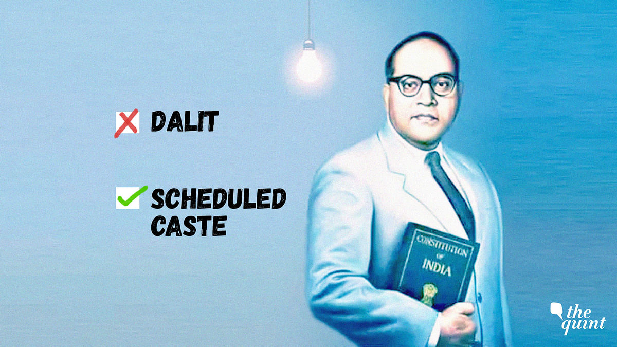 ‘The Word ‘Dalit’ is Insulting, Unconstitutional’: Duo Behind PIL