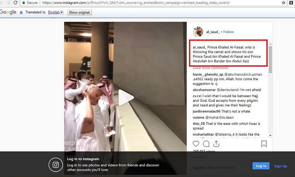 Former Pope of Catholic Church Converts to Islam? It’s Fake News!