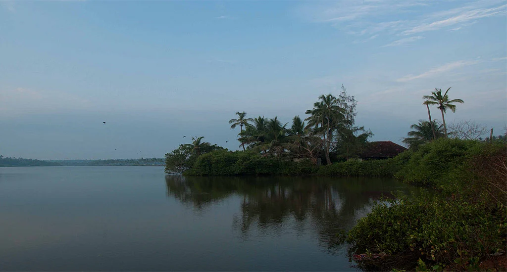 Backwaters of Chakkamkandam that appear picture perfect are actually polluted and contaminated by the raw sewage from nearby Guruvayur temple town.