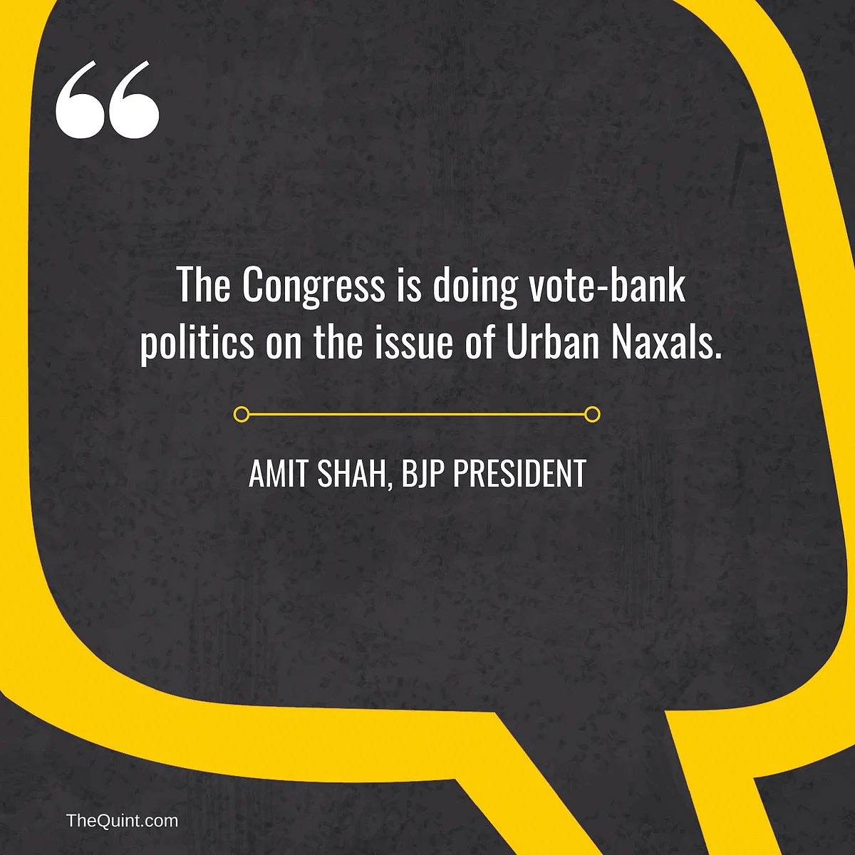 8 Things Amit Shah Said at the BJP National Executive Meet