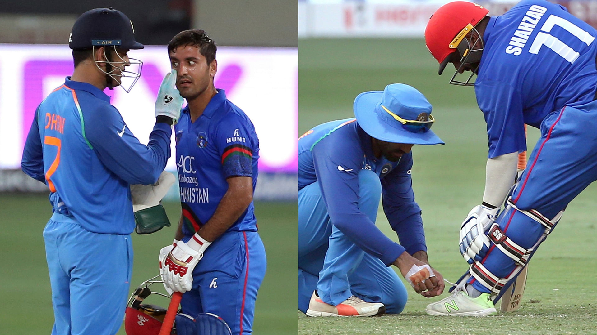 India’s MS Dhoni and Dinesh Karthik give Afghanistan’s Najibullah Zadran and Mohammad Shahzad a helping hand during the Asia Cup.&nbsp;