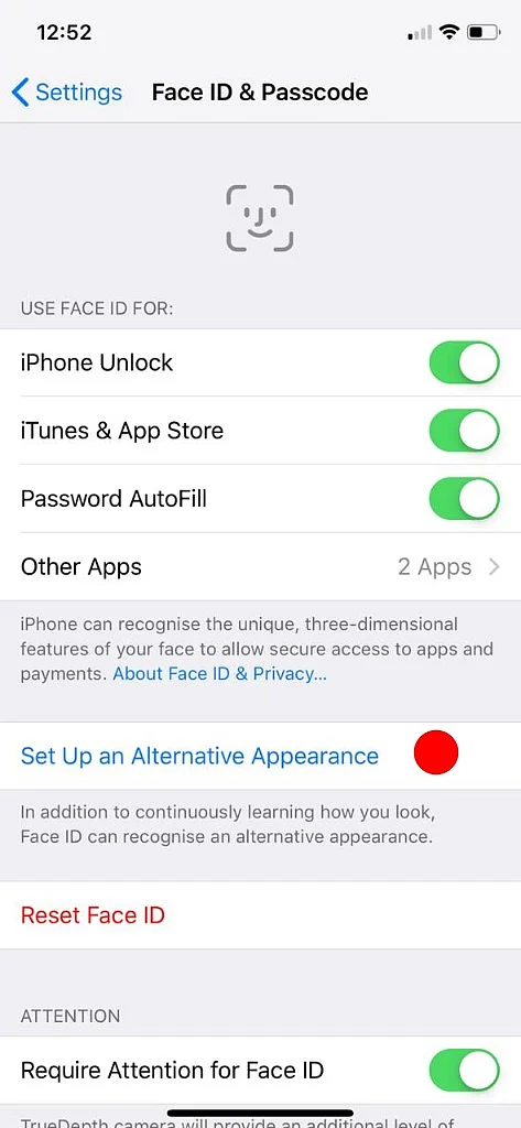 The Setup Alternative Appearance feature lets you add another Face ID.
