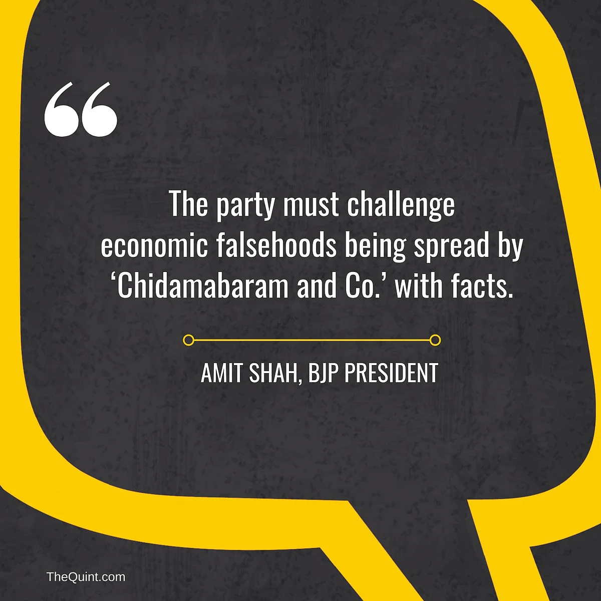 8 Things Amit Shah Said at the BJP National Executive Meet