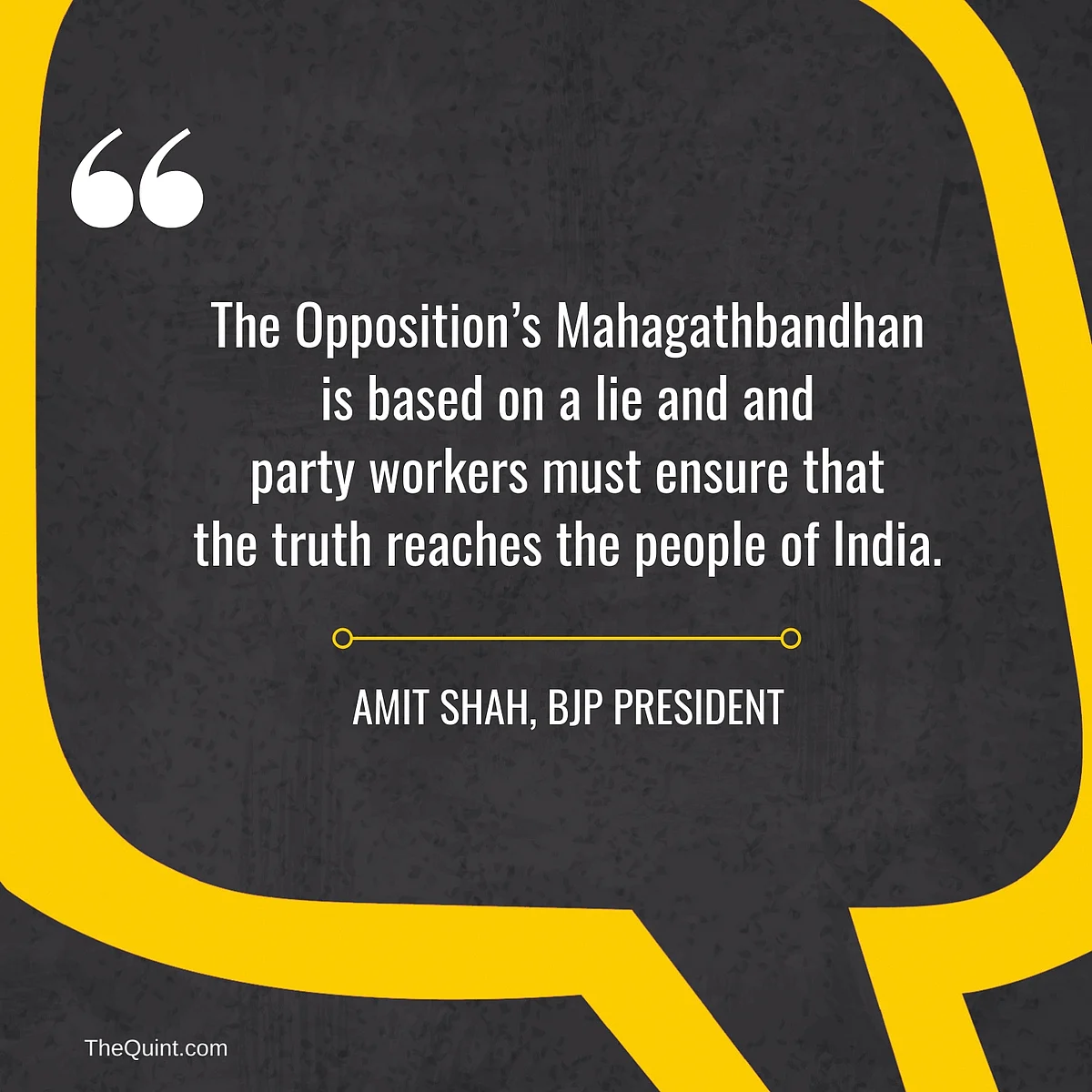 8 Things Amit Shah Said at the BJP National Executive Meet