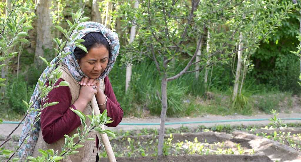 As climate change causes water shortages in Ladakh, a group of women is promoting traditional ways of farming