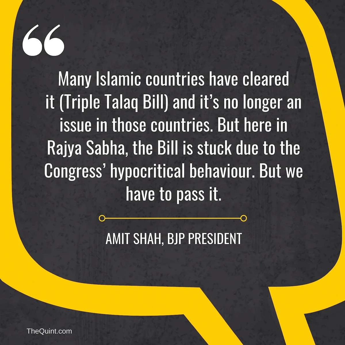 8 Things Amit Shah Said at the BJP National Executive Meet