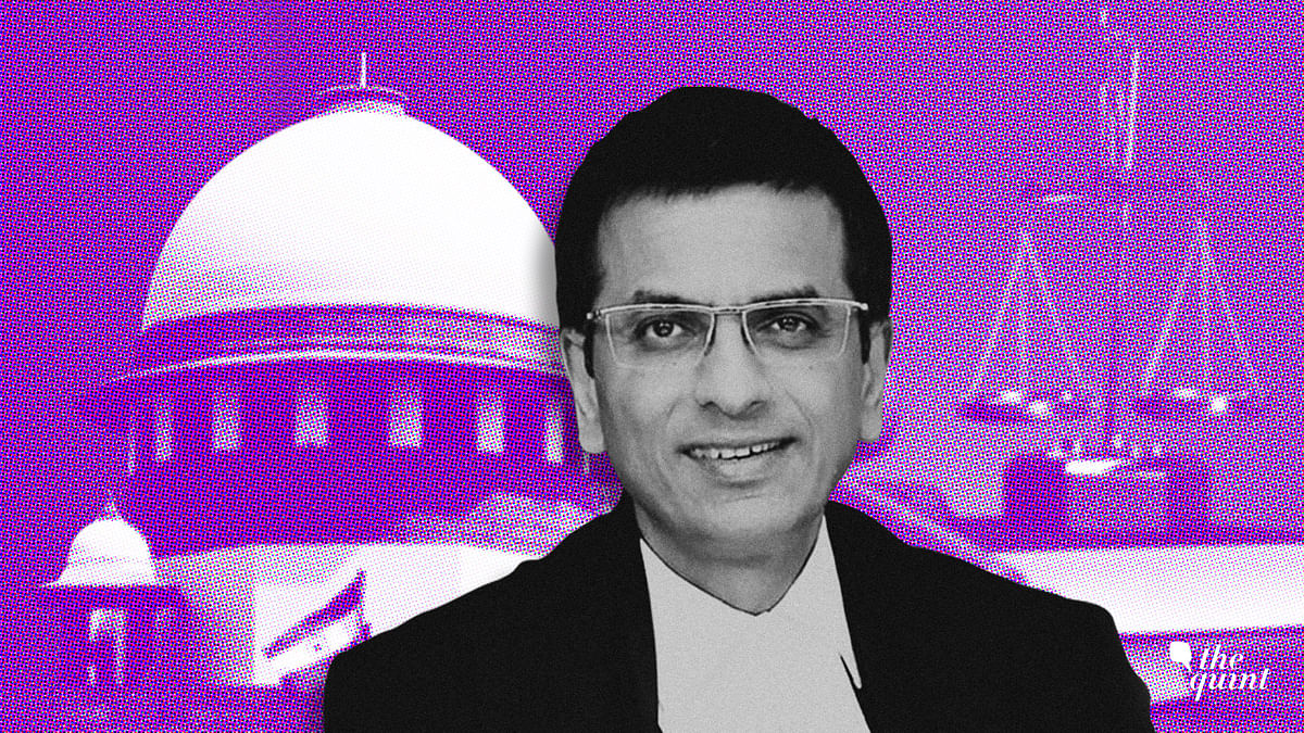 CJI Lalit Recommends DY Chandrachud as Successor: Read Who He is, Key Judgments