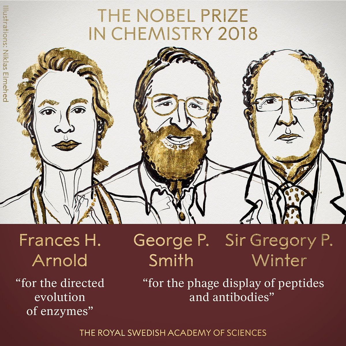 The Nobel Prize  in Chemistry has been awarded to Frances H Arnold , George P Smith and Sir Gregory P Winter.