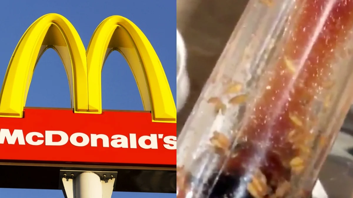 Maggots Found in Ketchup Bottle in a McDonald’s Outlet in the UK