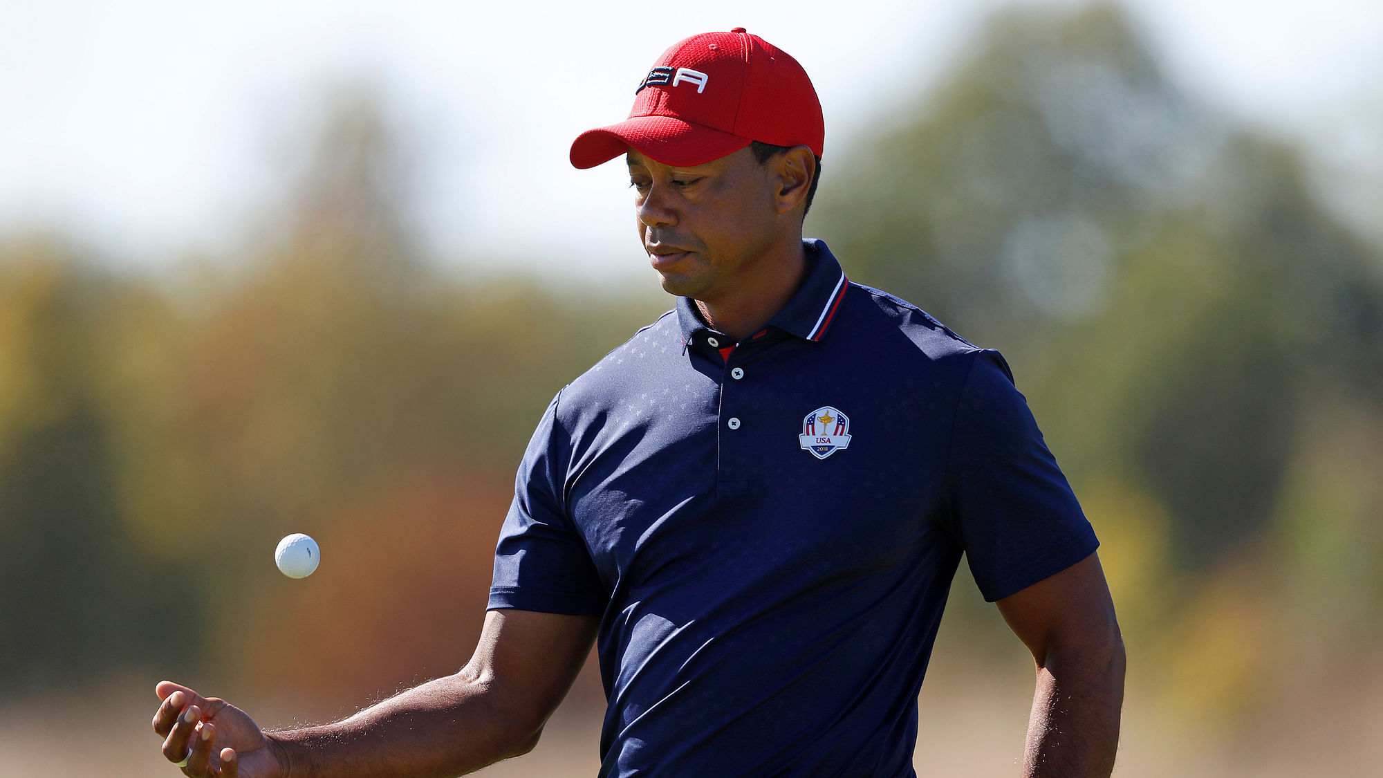 Tiger Woods of the US picks up his ball on the 5th green during a singles match on the final day of the 42nd Ryder Cup.