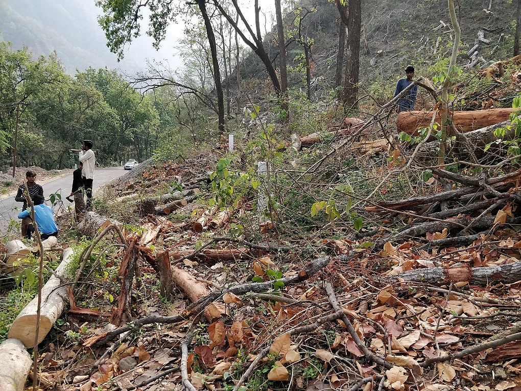 As many as 50,000 trees are being felled for the project. Several trees are also falling due to soil erosion and that loss is not even considered.