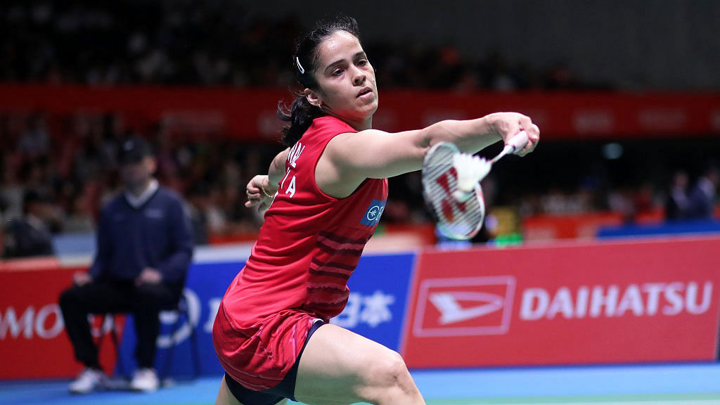 Saina Nehwal entered the finals of the Denmark Open.
