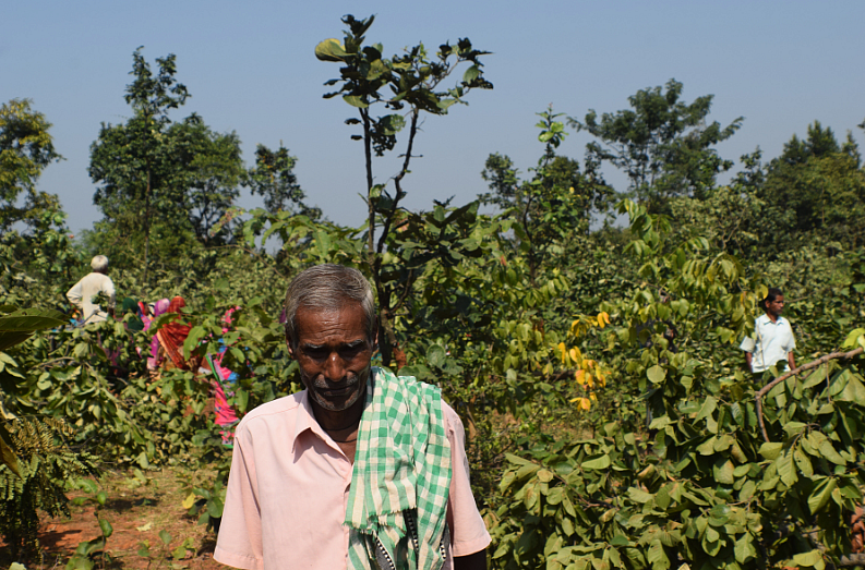 The district administration was all set to clear the forest on 12 acres of land since the Chief Minister performed the groundbreaking ceremony for a brewing industry.