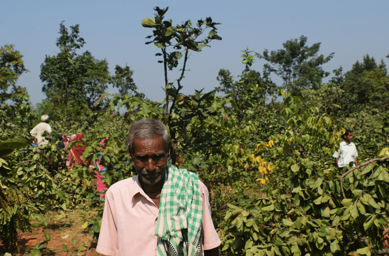Balarampur village in Odisha scripted a success story to save trees from an allegedly ill-planned alcohol factory.