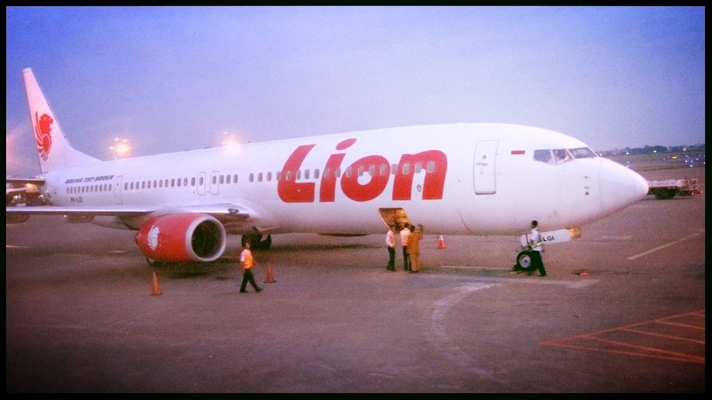 Image of a Lion Air jet used for representational purposes.