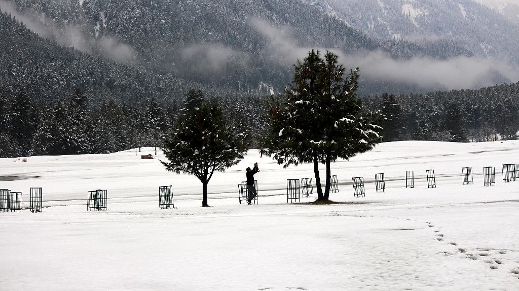 A man clicks a photo of a snow-clad tree in Kashmir.&nbsp;