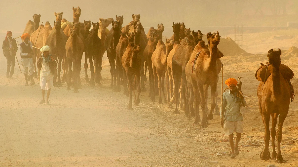In Photos: India This Week