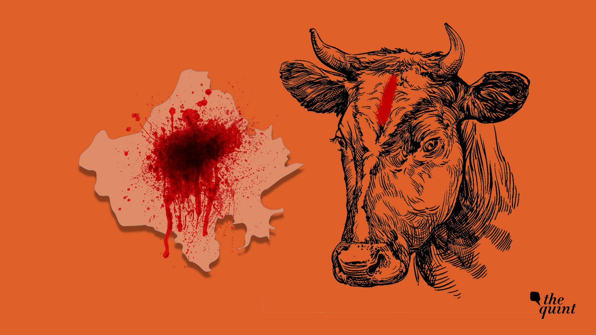 Image depicting ‘cow politics’ and communal violence in Rajasthan, used for representational purposes.