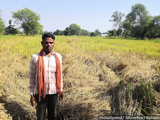 Ghanshyam Diwan’s 20-acre paddy farm has been affected by Maho, a pest. He is trying to get a survey done to assess the loss to claim insurance under PMFBY.