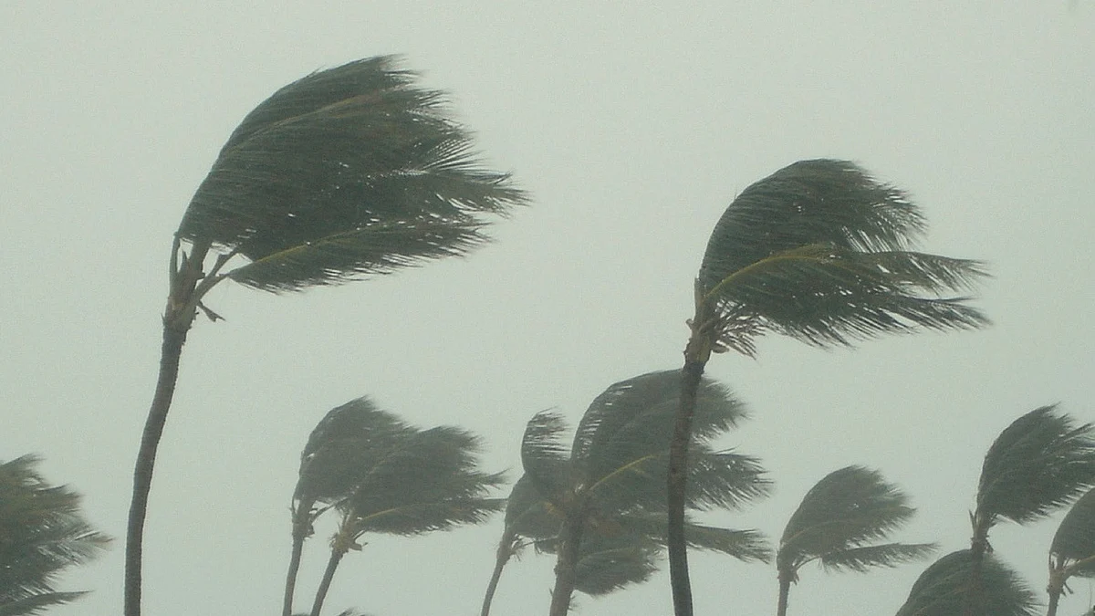 The storm took a U-turn on Tuesday morning and headed northwest, but again travelled west-southwestwards.