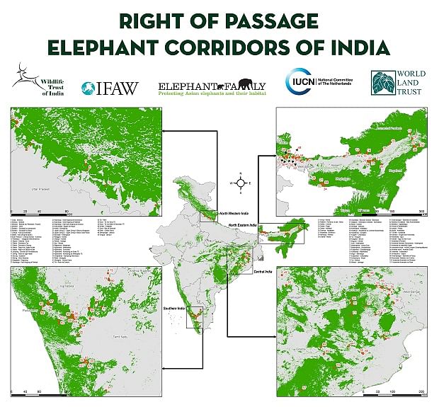 India is home to 27,312 Asiatic elephants but the number is down by half from over 50,000 elephants in 20th century.