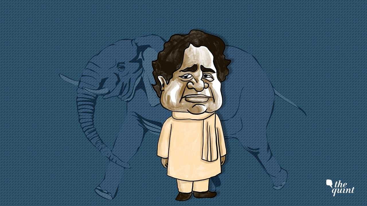 There is no denying that Mayawati happens to be a Dalit icon. But a section of Dalits has begun to move away from her. 