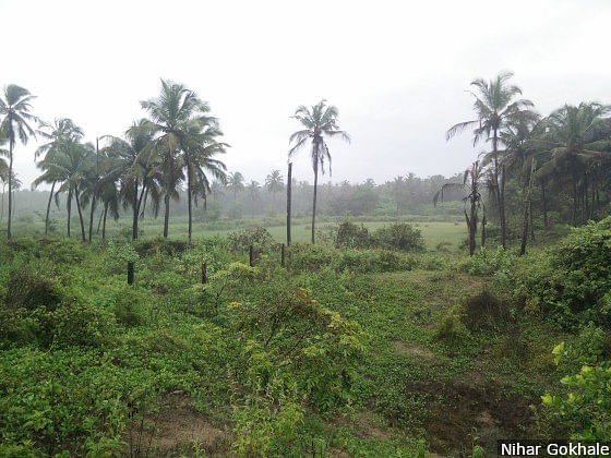 With luxury resorts taking up land and up by 170 percent in 10 years, conflict builds among locals in Arossim, Goa.