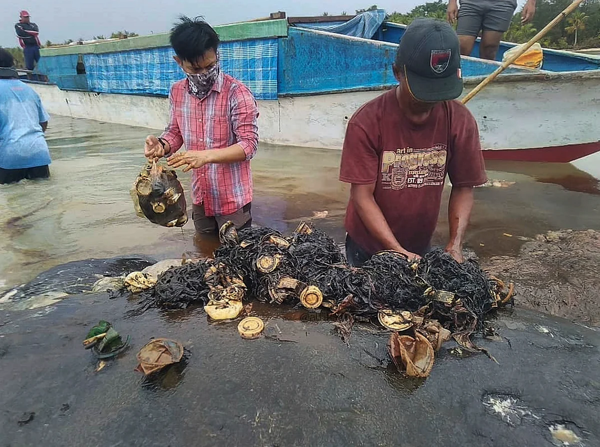 115 Plastic Cups, 2 Flip-Flops Found in a Dead Whale’s Stomach