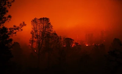 PARADISE, Nov. 14, 2018 (Xinhua) -- Wildfire burns in Oroville, California, the United States, on Nov. 13, 2018. The death toll from the raging Camp Fire in the U.S. state of California has increased to 48 as rescuers continue to search for missing residents in and around the town of Paradise, local authorities said Tuesday. (Xinhua/Li Ying/IANS)