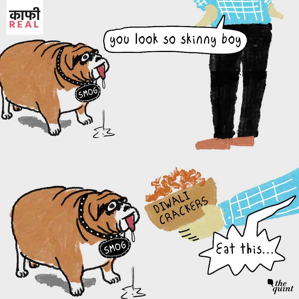 Bone of contention: Why does Delhi keep feeding the ‘dog’ (read: smog) that kills it?