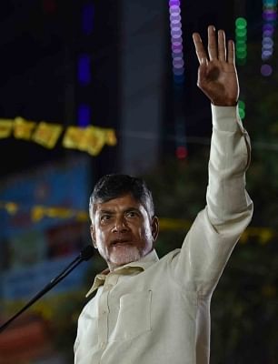 The BJP won no civic body seats in the state even as TDP managed to win just two seats.