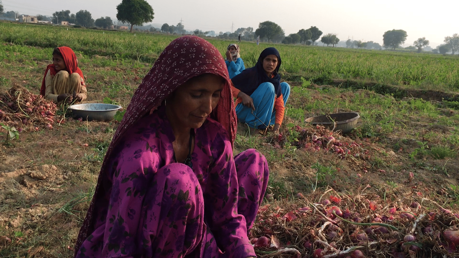 Women farmers in Mancha, Rajasthan
