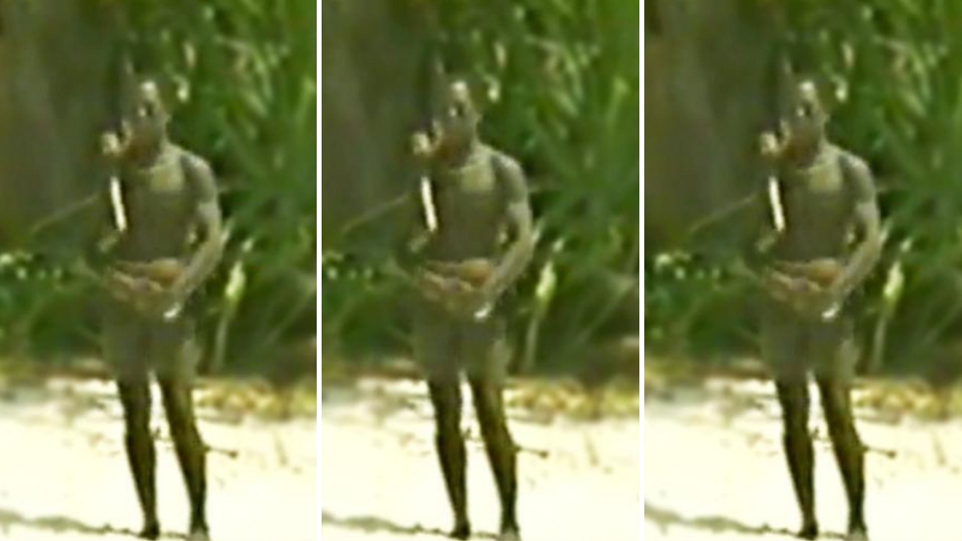 The Sentinelese are thought to have inhabited the North Sentinel island of the Andamans for about up to 60,000 years.