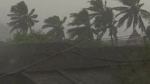 Cyclone Gaja, centred over Bay of Bengal, intensified into a severe cyclonic storm and crossed Tamil Nadu coast between Pamban and Cuddalore.