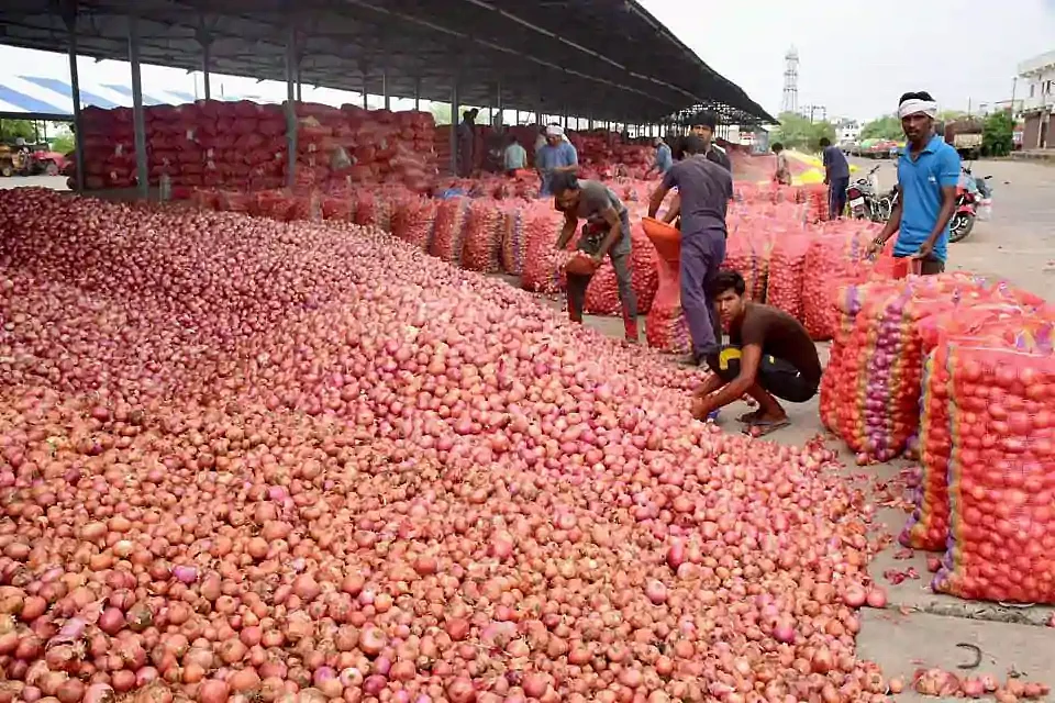 Onions pile up in MP’s Mandsaur agriculture market. They sold for a 1/5th of what it cost to grow them. 