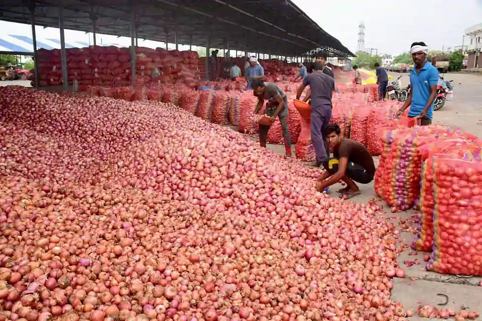 Onions pile up in MP’s Mandsaur agriculture market. They sold for a 1/5th of what it cost to grow them. &nbsp;