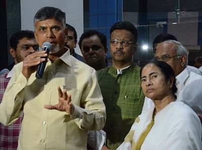 Leading in all 25 Lok Sabha seats in AP, the YSRC is set to become the third-largest party in the 17th Lok Sabha.