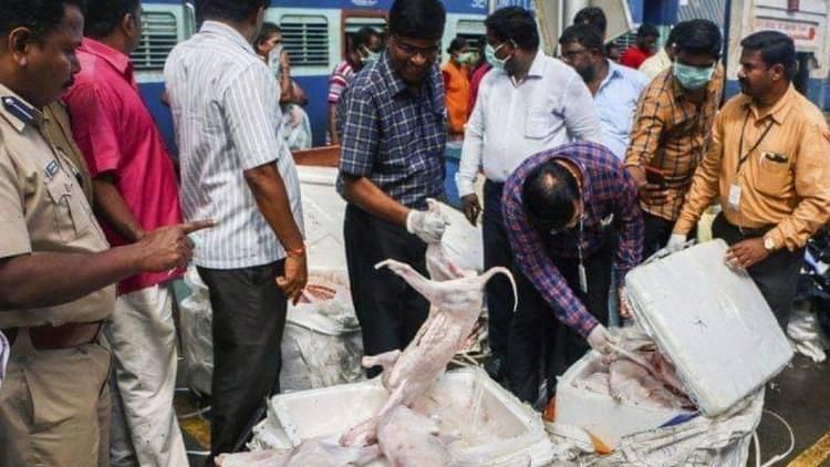 Proper protocol was not followed in the shipping of over 2,190 kilograms of meat from Jodhpur to Chennai, officials said.&nbsp;