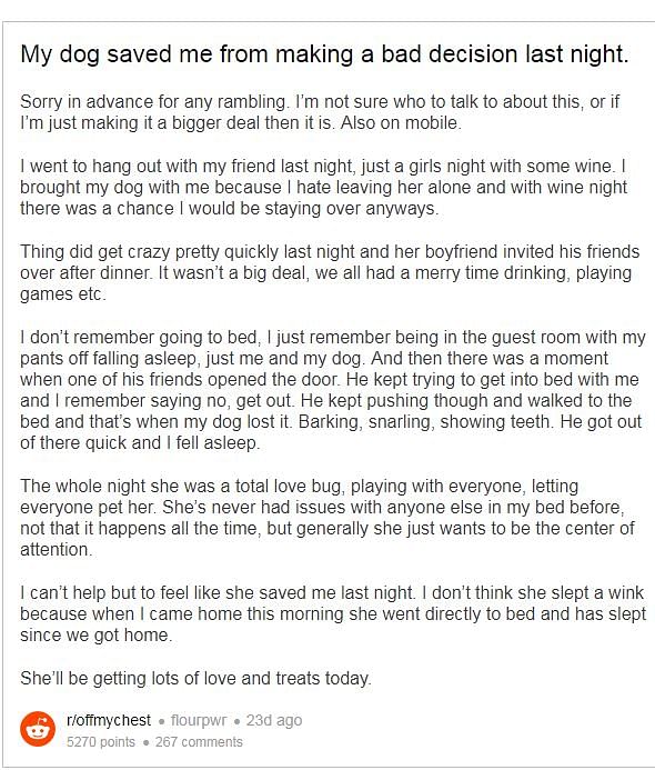 Dog saves a girl who fell  asleep at a party from a man who tried to assault her.
